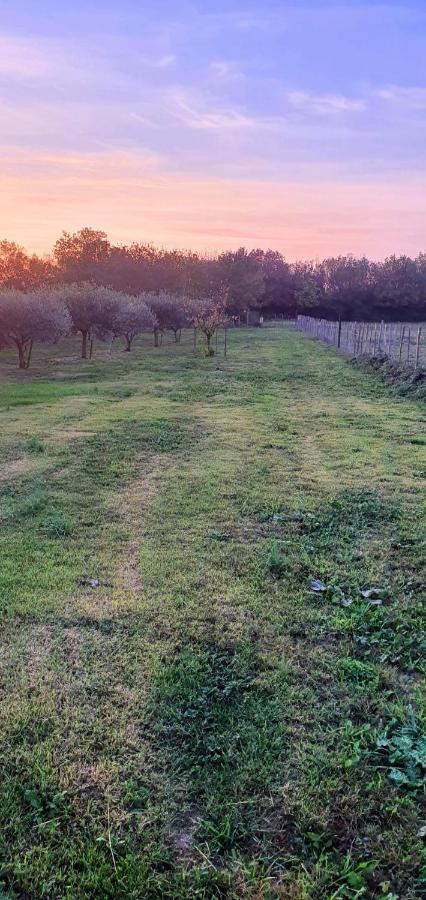 Les Bonbonnettes Bed & Breakfast Le Cailar Dış mekan fotoğraf