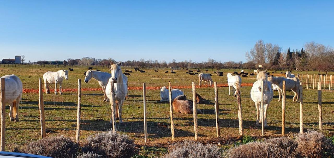 Les Bonbonnettes Bed & Breakfast Le Cailar Dış mekan fotoğraf